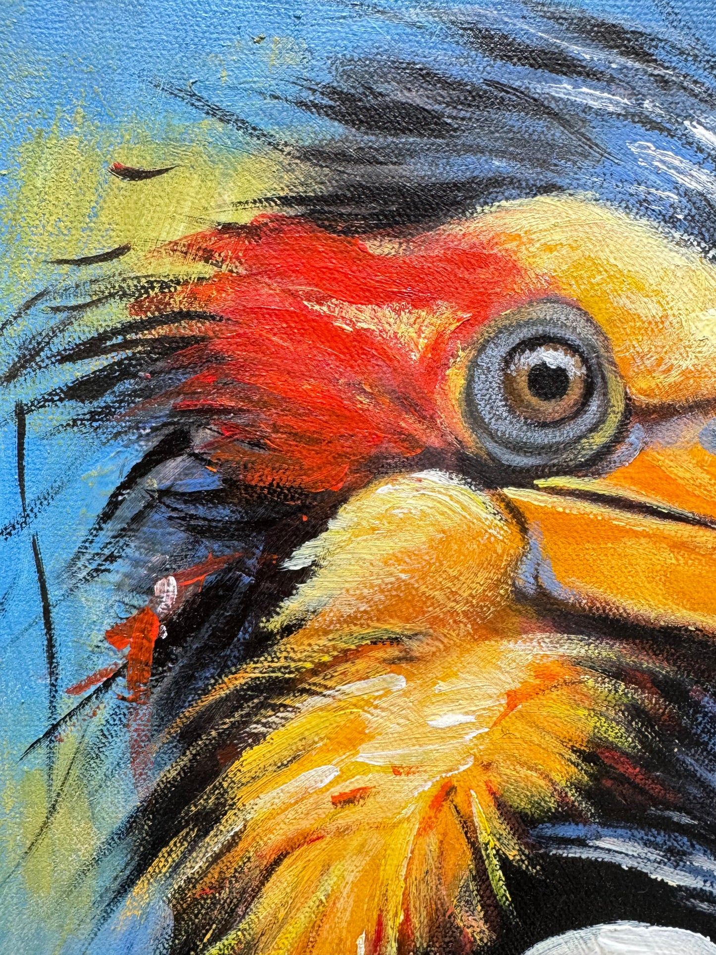 Vibrant Hornbill Oil Painting 40×50cm - Exotic Bird Art