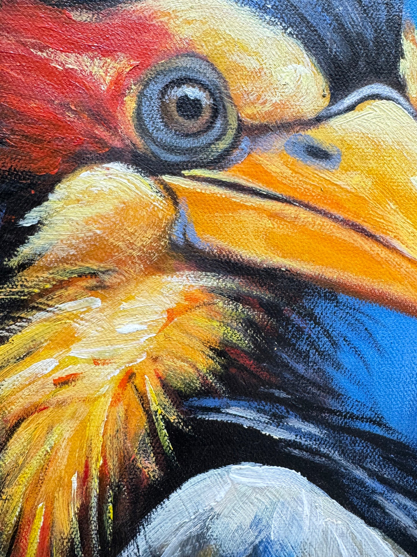 Vibrant Hornbill Oil Painting 40×50cm - Exotic Bird Art